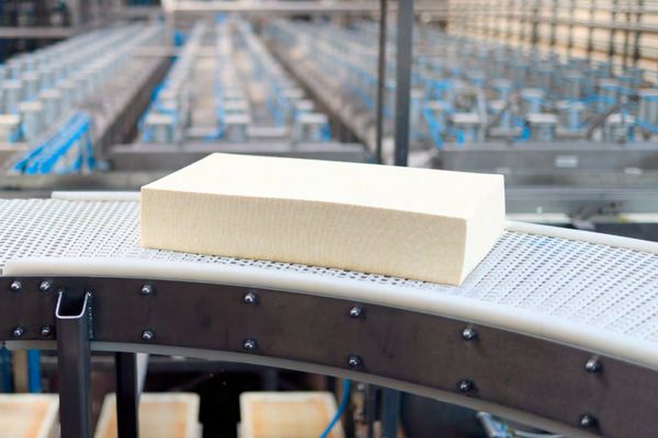 Поставский молочный завод приглашает на экскурсии: увидеть производство изнутри и выбрать профессию